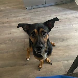 Meet your Posher, Stigma